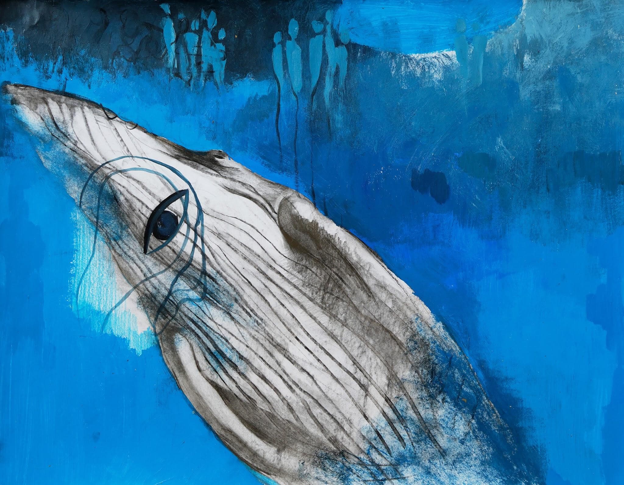 Una ballena pálida de perfil con el ojo abierto en agua azul